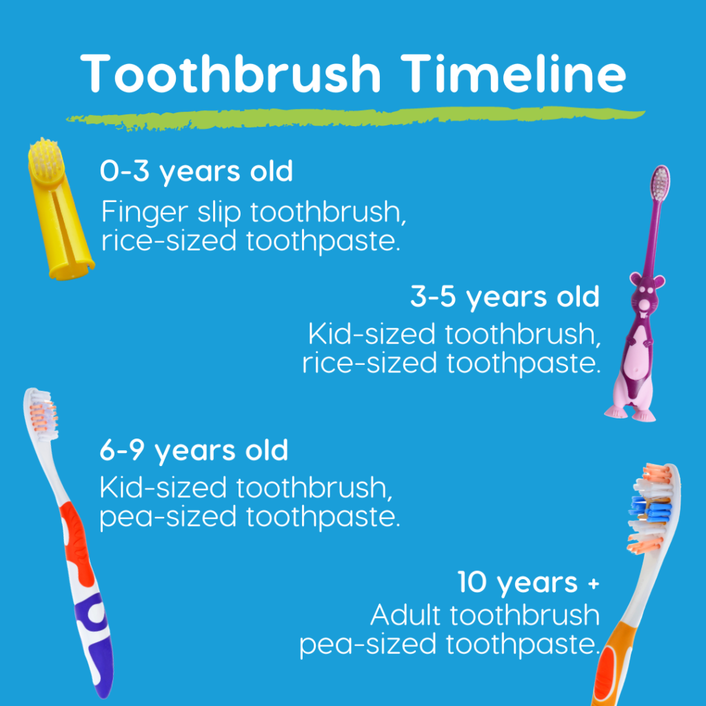 toothbrush timeline for kids